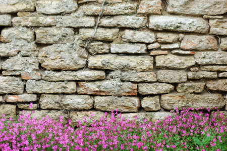 A decorative whitewashed stone wall with bougainvilleaの写真素材
