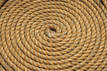 Heavy duty yellow coiled ropeの写真素材