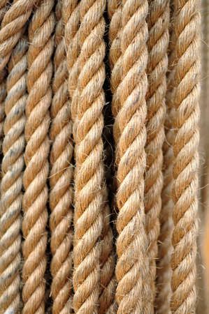 Fragment of thick rope backgroundの写真素材