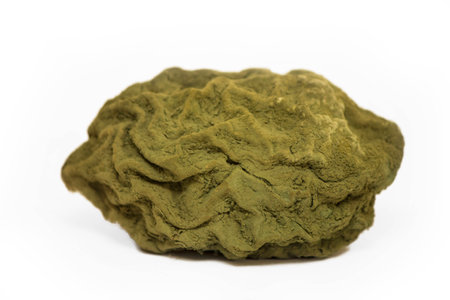 Rotten lemon isolated on white backgroundの写真素材
