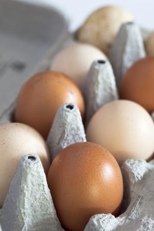 A dozen home-grown organic eggs in a cardboard container の写真素材