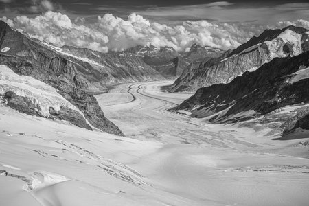 Summer on the Jungfrau with a view over the Aletsch glacierの写真素材