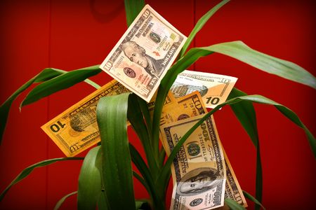Dollar bills on green flower. Money flower