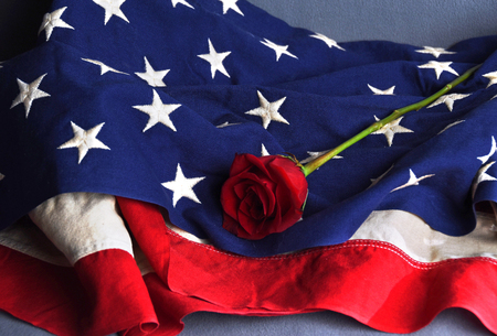 American flag with red rose to show patriotismの写真素材