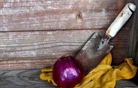 Red onion with gardening tools against wooden backgroundの写真素材
