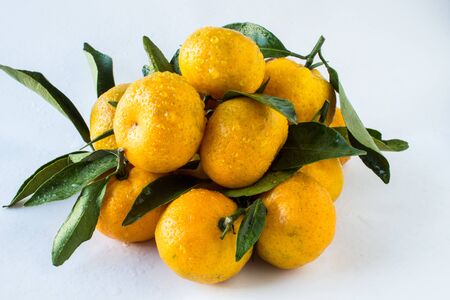 The orange fresh of naturalの写真素材