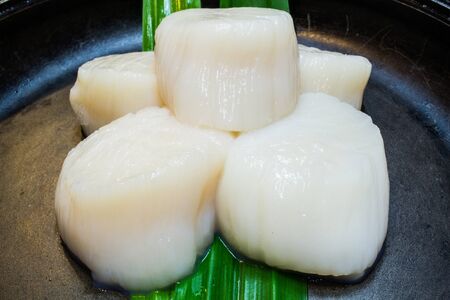 Shellfish is freshの写真素材