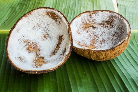 Coconut shell on banana leafの写真素材