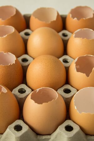 Egg is row for food raw