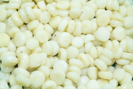 Chinese water chestnut is food raw for backgroundの写真素材