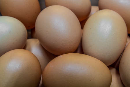 Egg is raw for cookの写真素材