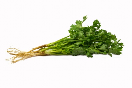 Coriander fresh is vegetable,Isolated on white backgroundの写真素材