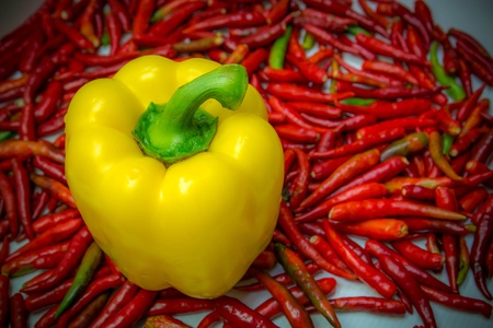 Yellow chili fresh is vegetable on red chili background
