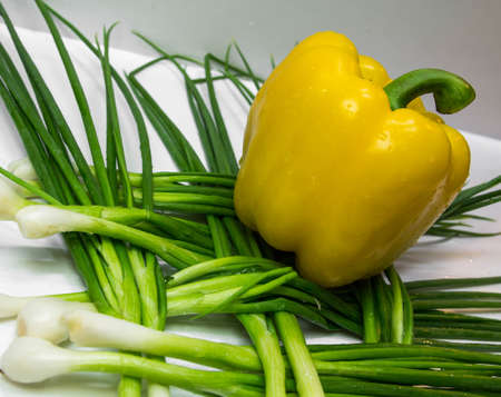 Chili fresh yellow color on green onionの写真素材