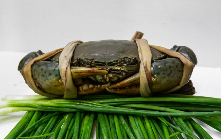 Crab big is raw food