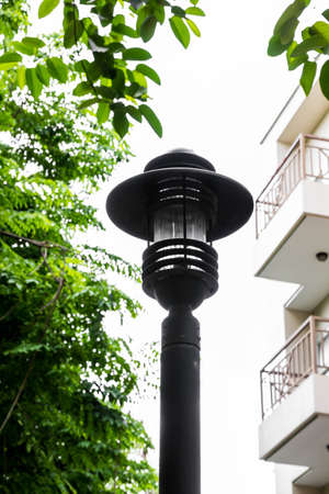 Electric light in a beautiful parkの写真素材