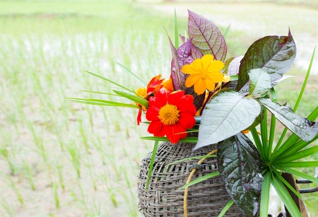 Flowers on old bicycle in fieldの写真素材