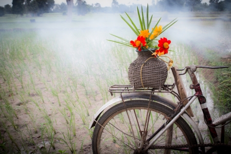 Flowers on old bicycle in fieldの写真素材