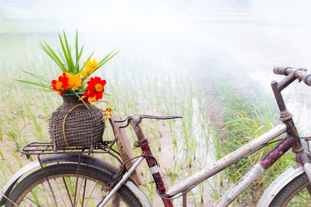 Old bicycle and flowers in fieldの写真素材