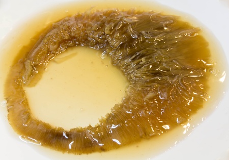 China delicious food-- shark fin soupの写真素材