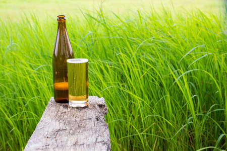 Beer in glass on green backgroundの写真素材