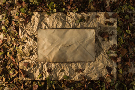 Old letter on paper and dried foliageの写真素材