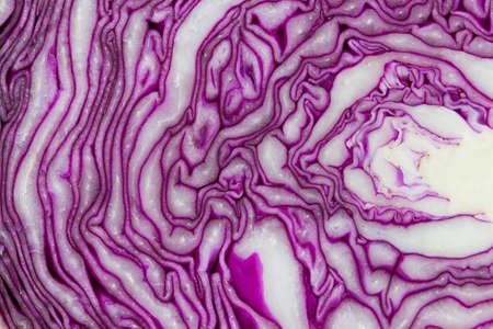 Patterned purple cabbage background of macroの写真素材