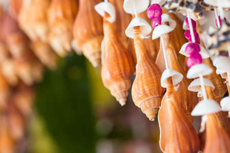 Seashell pattern mobile decorationの写真素材