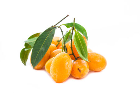 The scientific name Bouea macrophylla Griffith.Common name Marian Plum , Plum Mangoの写真素材