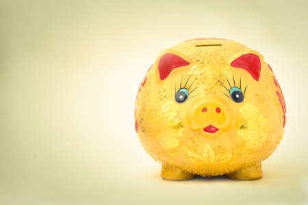 Piggy bank style money box