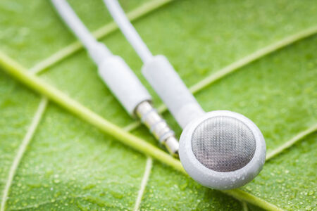 Headphones equipment with drop water on green leaf,depth of fieldの写真素材