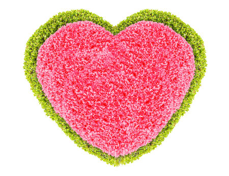 Grass and plants, small red with green heart. During the Valentine season. on white backgroundの写真素材