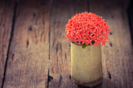 Red Ixora flower in bamboo on wood tableの写真素材