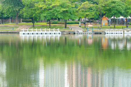 Green parkの写真素材