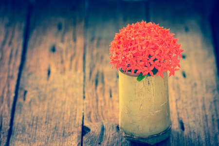 Red Ixora flower in bamboo pot on wood tableの写真素材