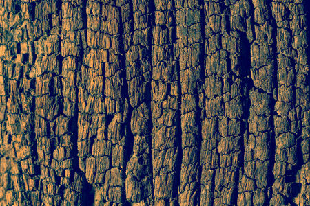 old grunge wood background texture
