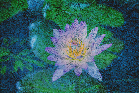 Beautiful lotus petal on grune wallの写真素材