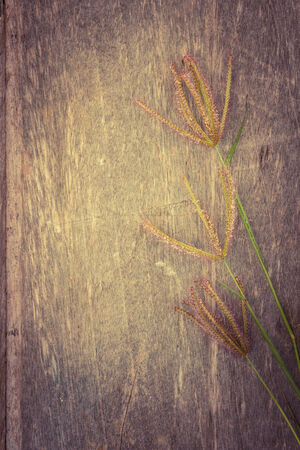 Grass flower on wood table,vintage retroの写真素材