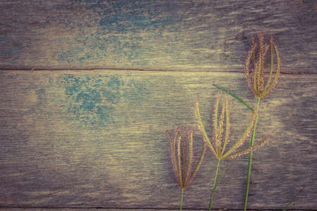 Grass flower on wood table,vintage retro