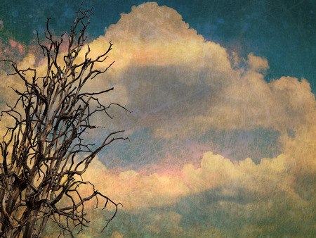 Sky, tree, and clouds on a textured, vintage paper background with grunge stains.の写真素材