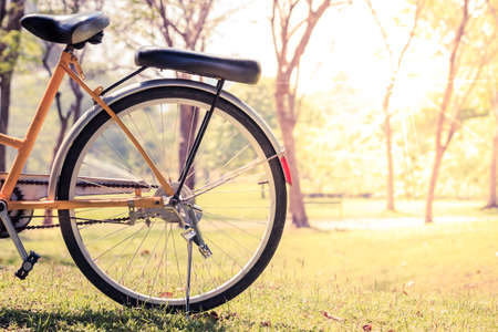 beautiful landscape image with Bicycle at parkの写真素材