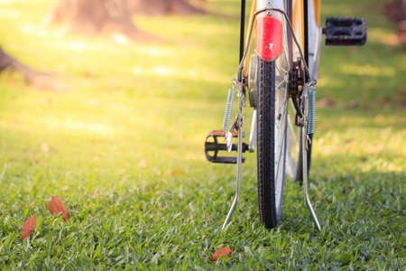 Bicycle in the green parkの写真素材