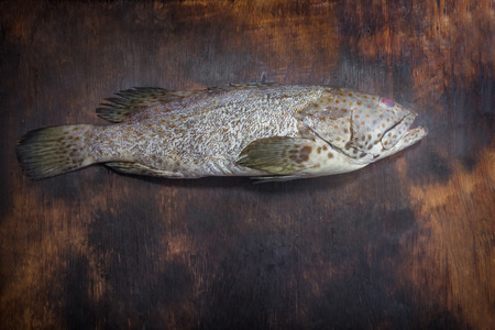 Fresh Grouper on wood backgroundの写真素材