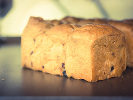 Delicious buns with crust on blurred bakery indoor background.