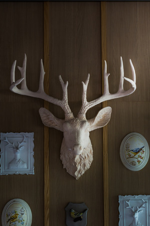 Interior head deer model on wood wallの写真素材