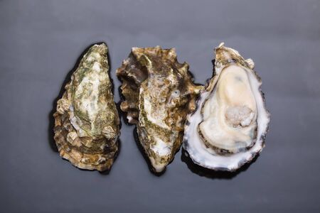 Fresh oysters seafood