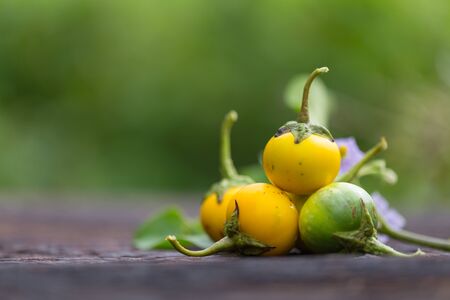 Eggplant on woodの写真素材