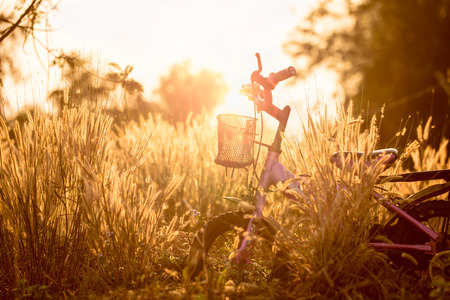 Little bike with beautiful landscape image on sunset.の写真素材