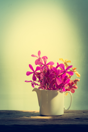 Still life with orchid beside glass windowの写真素材