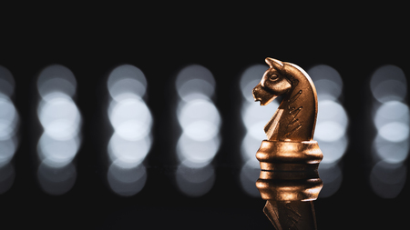 Knight or horse of chess for leadership of business conceptの写真素材
